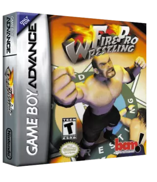 jeu Final Fire Pro Wrestling